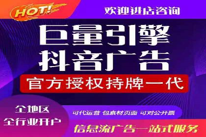 SEM托管服务，成功案例见证转化奇迹